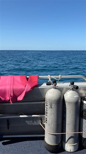 Made For It on Instagram: "A little recap on why these sold out last collection 🫶 preorder opens Wednesday! #wetsuit #oceanlife #scubadive"