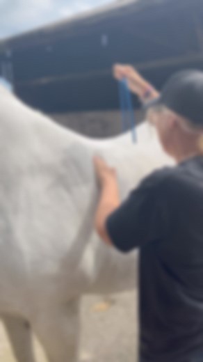 1.8K views | When looking for a saddle or checking your own its all...