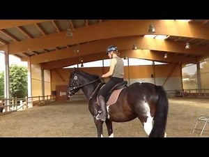 Das Anreiten. DIe ersten 3 Tage / Full Video