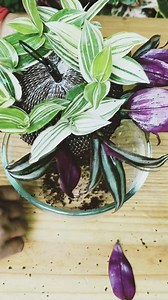 1.4M views · 20K reactions | Easy Hanging Planter Meking With toys net / DIY Planter ideas. . . . . . . . #indoorplantdecor #gardeningideas #IndoorPlants #diy #diyplanter #plantlovers #inchplant #plantdecor | Fashion home gardening | Facebook