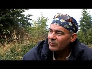 Natură şi aventură - Observație de cerbi pe Valea Mureşului