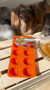 156K views · 3K reactions | DM-01™ Daily Multivitamin is an all-in-one solution to common skin issues such as allergies, itching, yeast infection, paw-licking, hotspots and irritation. ✔️ 12 Clinically-backed ingredients ✔️ Vet-Formulated ✔️ Made in Vermont Start your dog's health journey today. | Dog is Human | Facebook