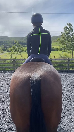 Improve your shoulder and pelvis levelness in the saddle by focusing on improving strength and control of your gluteus medius muscles. ⁣ ⁣ I’ve done a few posts recently about having one shoulder lower than the other in the saddle and how, in the vast majority of riders, it is caused by a hitching on the same side pelvis due to lack of control of that gluteus medius.⁣ ⁣ Gluteus medius control is so important for riders, not just in its role in moving the hip, but also in its major role in contro