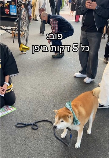 Exploring Kawaii Culture in Japan