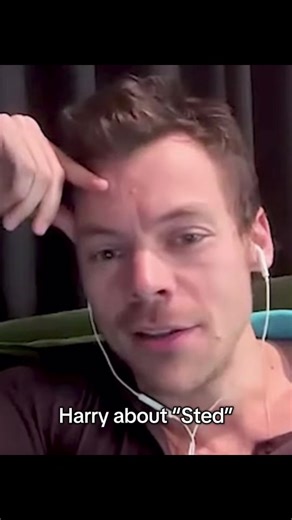 Understanding Sted: Insights from Harry Styles