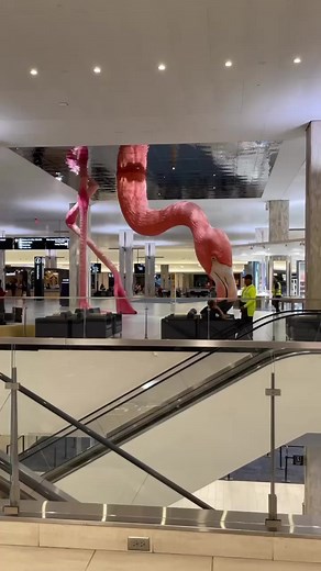 Tampa International Airport’s iconic flamingo officially has a name! 🦩The name was submitted by Bryan M, a retired educator and Tampa International Airport selected it following a public contest. ‘Phoebe’ is a playful alternative to flamingo and means “brilliantly inquisitive”. Phoebe is a Tampa icon waiting to welcome you back home from your next trip. 🦩 ✈️ 💕 #TampaProud | City of Tampa