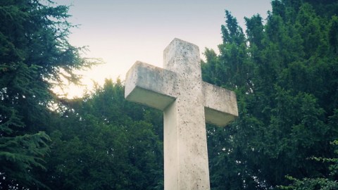 Virgil Cole Obituary April 15, 2026 - Floral Hills Memorial Gardens and Funeral Home