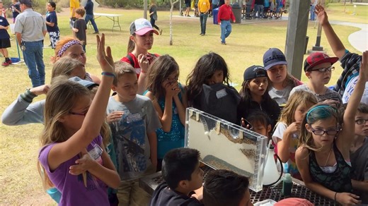 United Front – Arizona mayors discuss the ways they’ve forged a united front to tell Arizona’s water efficiency story as part of the Coalition for Protecting Arizona’s Lifeline – the Colorado River, delivered by Central Arizona Project. #ProtectAZsLifeline https://bit.ly/45wiHDG | Central Arizona Project