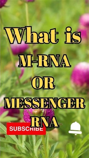 What is M-RNA or messenger RNA #shorts #facts #biology