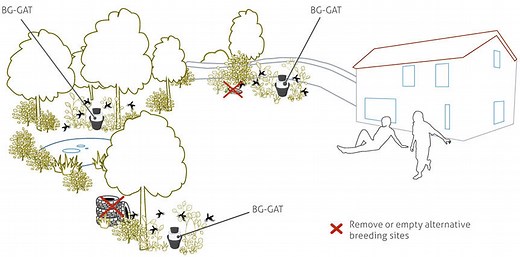 BG-GAT to stop the next generation of tiger mosquitoes – Biogents USA