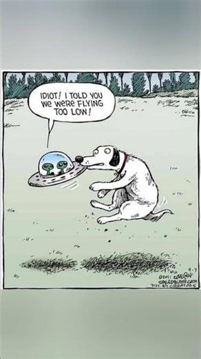 Pull Up #memes #meme #memesdaily #funny #entertainment