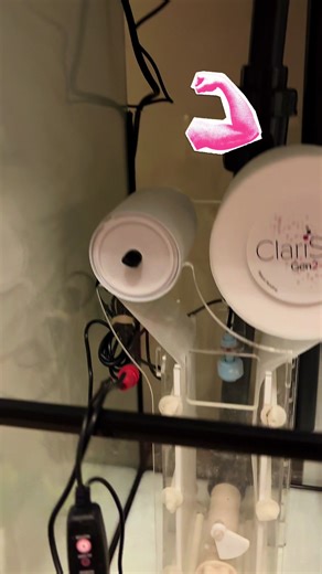 Second hand ClariSea Gen2 in pro1500 gets exacting and expensive Is it any good? Mtg x #marine fish#