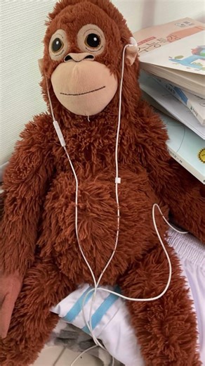 TIN ĐỘC LẠ: TỪ CHÚ KHỈ CON BỊ BỎ RƠI ĐẾN CƠN SỐT TOÀN CẦU