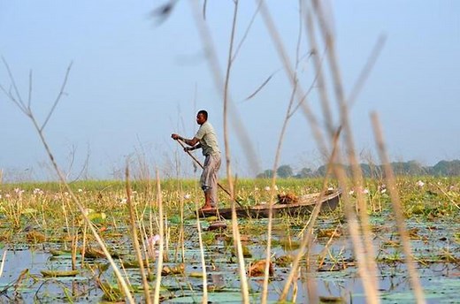 Watch | All about Ramsar sites