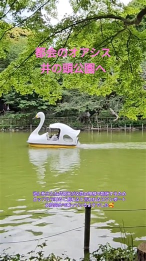 都会のオアシス 井の頭公園へ