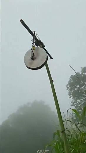 DIY Bird Repellent Device for Farmland Crops