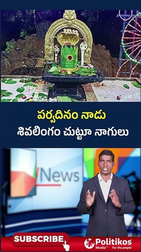 Miracle On The Nagula Chaviti Day : నాగుల చవితి నాడు అరుదైన ఘటన ‪@PolitikosMedia‬