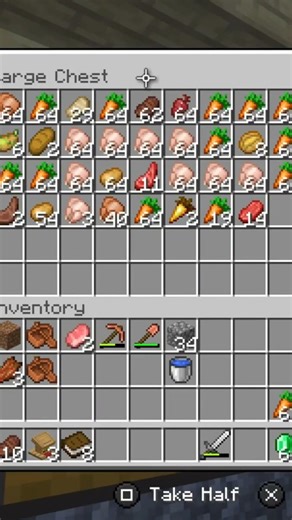 MINECRAFT 43/365