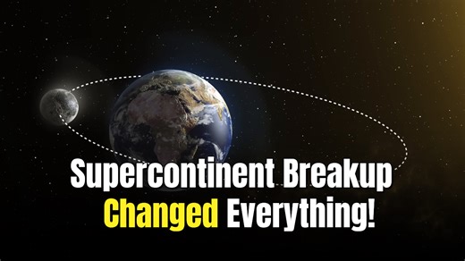 Ancient tectonic shifts cooled Earth and paved the way for complex life