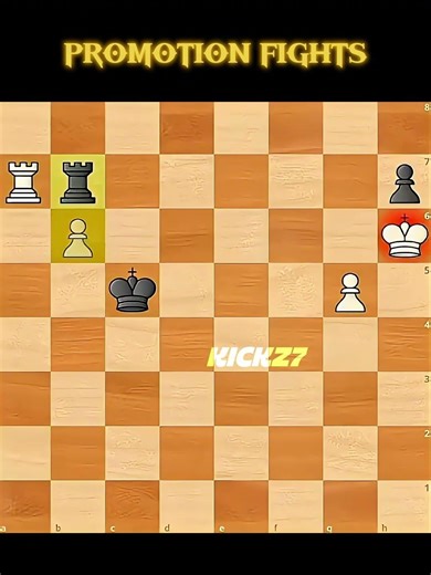 Promotion Fights ♟️☠️