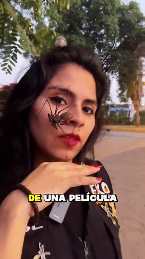 Descubre la Araña Látigo en ExoDesertIca