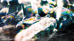 NOVA - Ghosts of Subatomic Particles - Twin Cities PBS