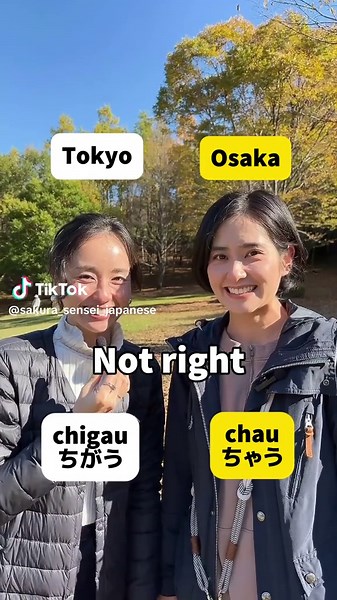 Master Japanese Dialects in 30 Seconds Daily