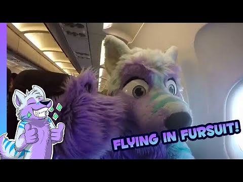 Fly away :3 - Fursuiting in an airplane