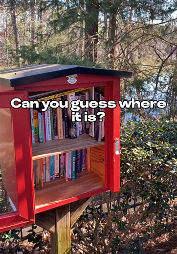 I Left A Copy of My Book At This Free Little Library! | Mystery Drop | Can you Guess Where It Is? I found the most charming Little Free Library today and decided to leave a surprise behind. I’ve tucked a copy of