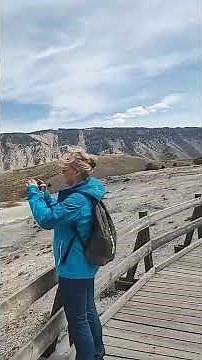 Mammoth Hot Springs Yellowstone National Park