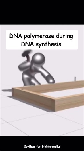 Ashish Singh on Instagram: "DNA polymerase: Builds DNA with love and precision Restriction enzyme: Cool. Anyway, let me cut this up. #bioinformatics #biotechnology #dna #enzymes #protein"