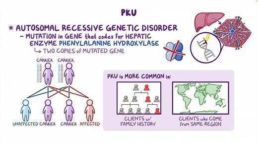 Video: Phenylketonuria (PKU): Nursing - Video Explanation! | Osmosis | Osmosis