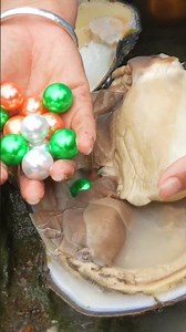 She disturbed the clam that slumbered for a hundred years
