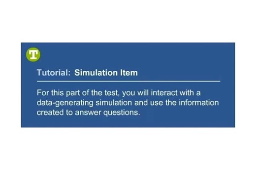 Simulation