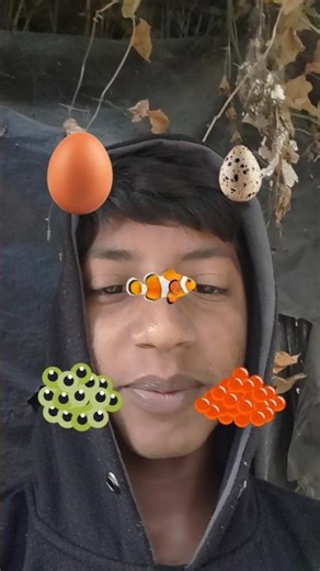 🔥 Unbelievably Satisfying Woodworking!🌿 An Impossible Build in the Jungle 🌿