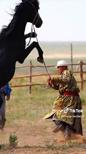 It's hard to train fierce horses#horse #riding #cowboy #grassland #snow #The #eq #equestrian #prairie @hasanawad @barrelracingeditz @destiny5c @thescenery55