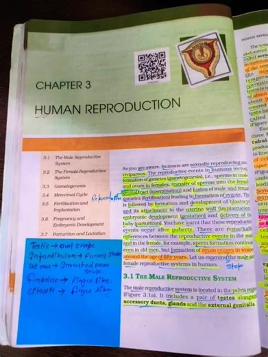 “Human Reproduction 🔥 NCERT Highlights | NEET 2026 Most Important Points 💯”