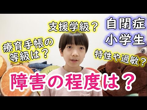 障害の程度・療育手帳の等級や特性の話【自閉症小学生・重度知的障害】