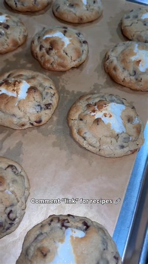 5.5K views · 87 reactions | The holidays are around the corner — it’s the perfect time to start baking and selling!  Grab my cookie recipes and let’s make this season sweet ✨COMMENT “link” to get yours, use code FLASHSALE for 20% off . #cookies #cookierecipe #baking #baker #cookieclass #cookierecipe #bakingtips #homebaker | Thecookieshop.lr | Facebook