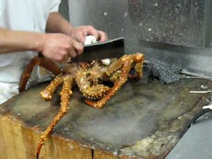 King Crab Cut Up while still alive by Chinese Chef