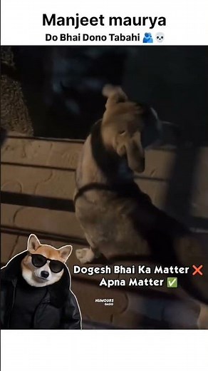 Dogesh Bhai ka matter 😂 #dogeshbhai #dog #shorts #viral #trending
