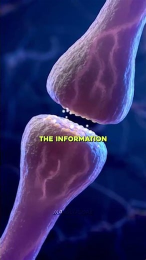 We Made Better Computers w/ Neil deGrasse Tyson