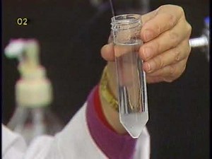 2. Stock Suspension // Microcarrier Techniques