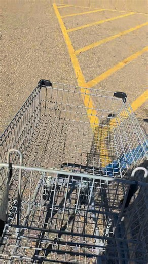 You want to be successful in life? Start with the little things, put your buggies back in the cart return. #DoTheRightThings #success #small #SmallThingsBigImpact #Mississippi | Matt Shell