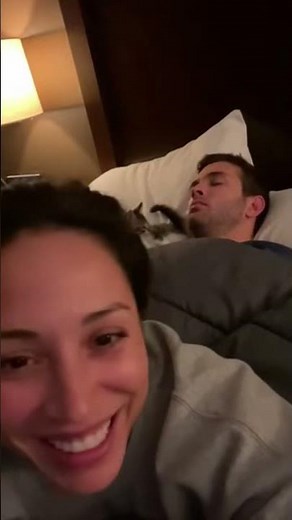 Sleep Interrupted: Cat Takes Charge 😹⚡ #cat #catvideos #catshorts #shorts