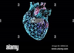 Abstract human heart motion graphics, 2 in 1 ( heartbeat animation on black and transparent backgrounds), Seamless Loop, 4K resolution. Codec ProRes 4444 with alpha channel. Not AI Generated Stock Video Footage - Alamy