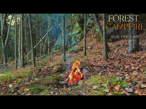 Hillside Forest Campfire Loop | 4 Hour Relaxing Fire Beside a Rock Wall