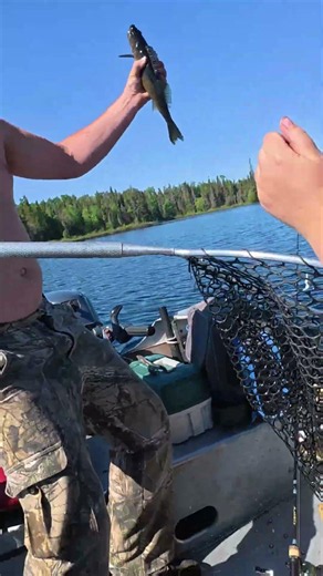 Mom Catches a GIANT Smallmouth Bass Right From the Boat 😱🎣