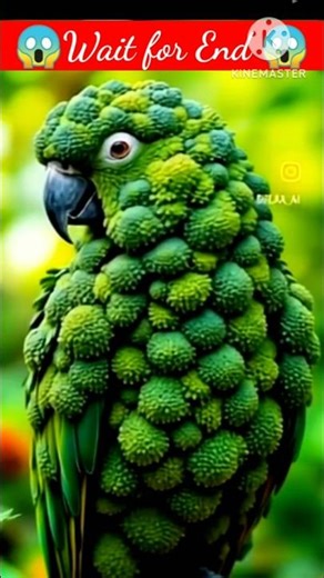 A strange combination of animals: Let's see how they look together! Part 702 #animals #shortfeed ...