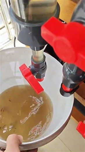 One-click waste removal #FishkeepingDiary #AquariumFiltering #EasyFishkeeping #AirTank #Fishkeeper